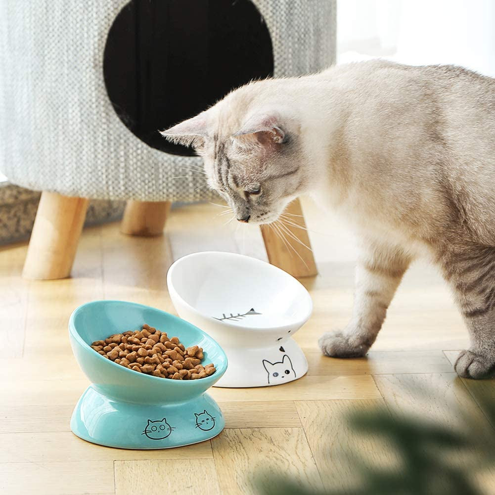 Elevated Ceramic Cat Bowls for Food and Water, Slanted Design for Spine Protection and Stress-Free Feeding, Backflow Prevention (White)