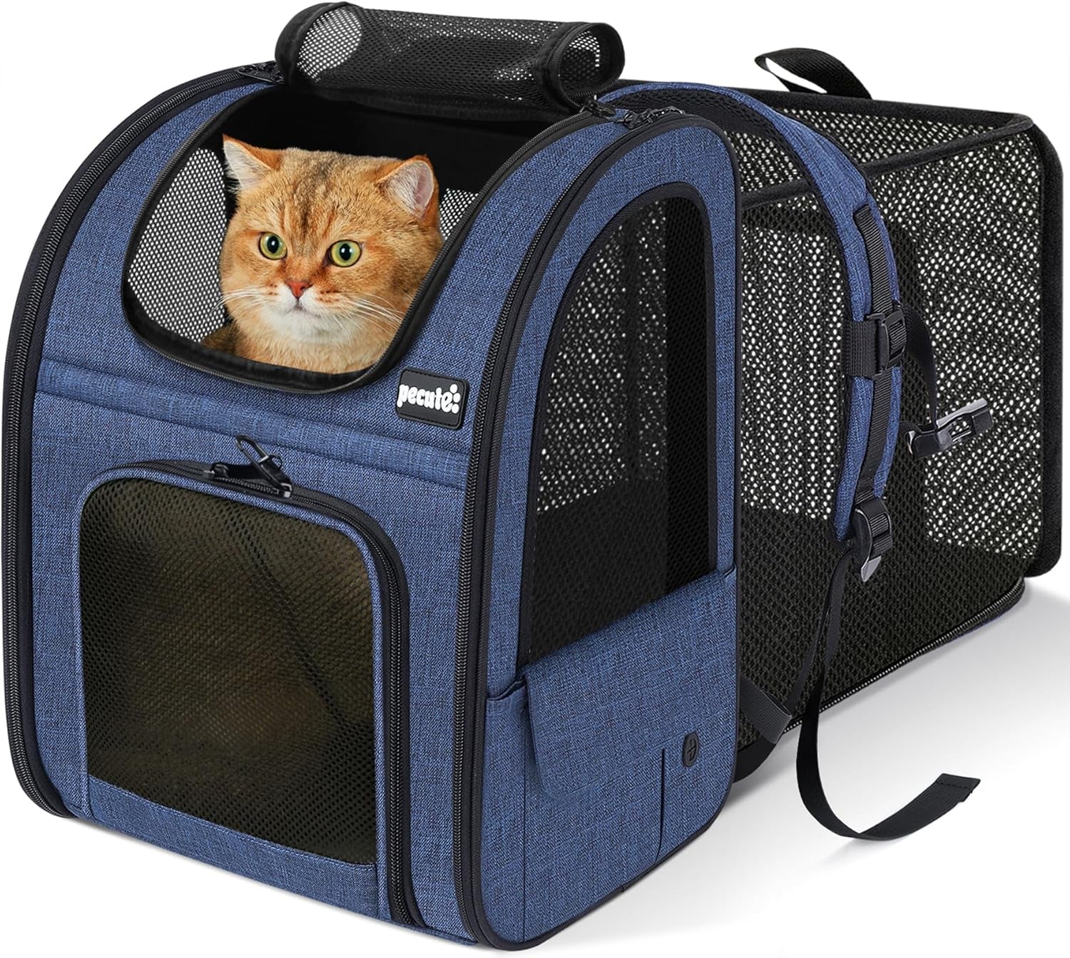 Expandable Cat Backpack Carrier for Small Pets up to 11 lbs, Featuring Breathable Mesh, Multi-Entry Design, and Lockable Zippers for Travel, Hiking, and Camping - Hands-Free, Blue