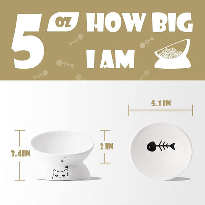 Elevated Ceramic Cat Bowls for Food and Water, Slanted Design for Spine Protection and Stress-Free Feeding, Backflow Prevention (White)